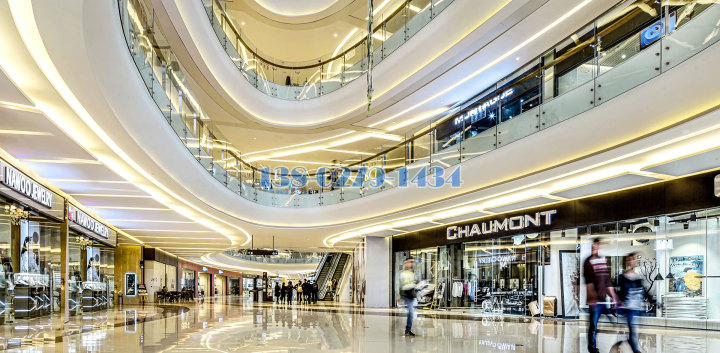 ���Y�Q���I���T��O