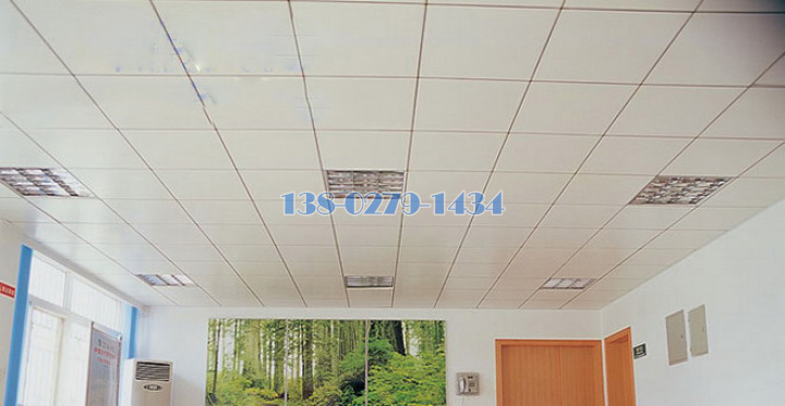 �����T���O