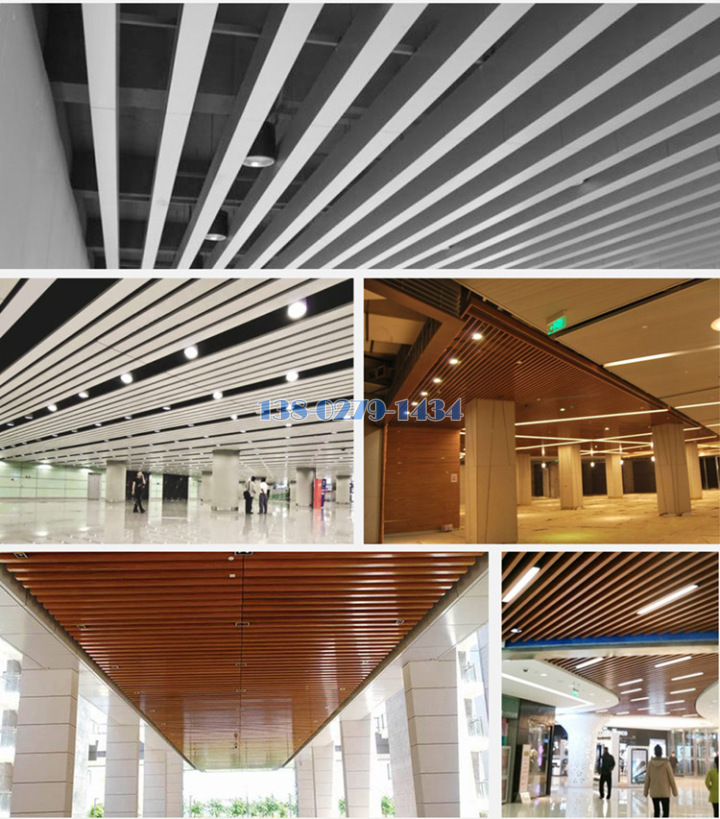 ¾T¤è³qÀ³¥Î³õ´º ¾T¤è³qÀ³¥Î³õ´º