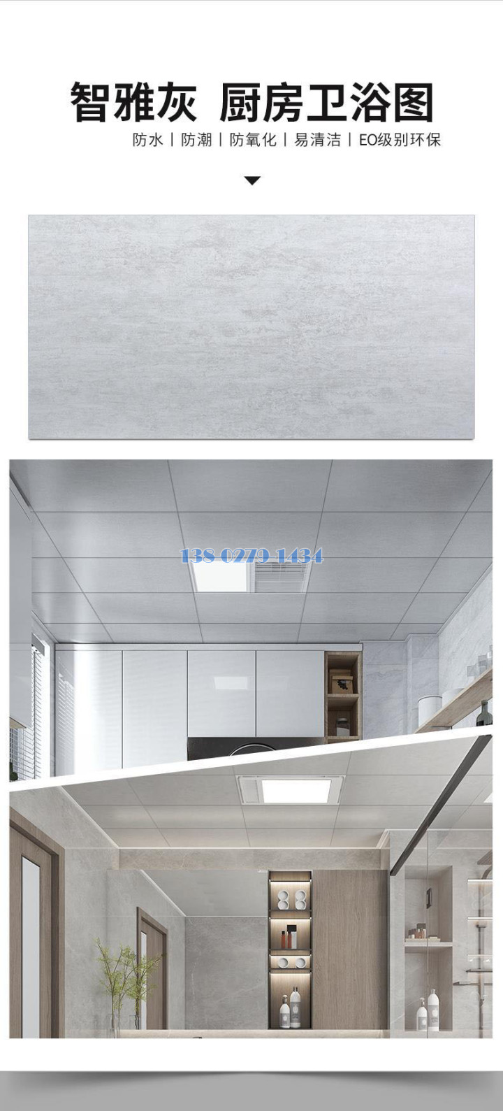 �����Q���ר�