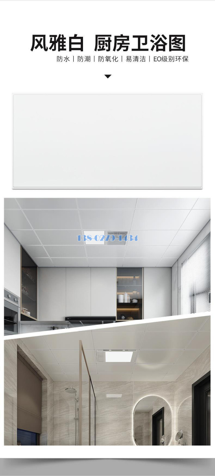 �����Q���ר�