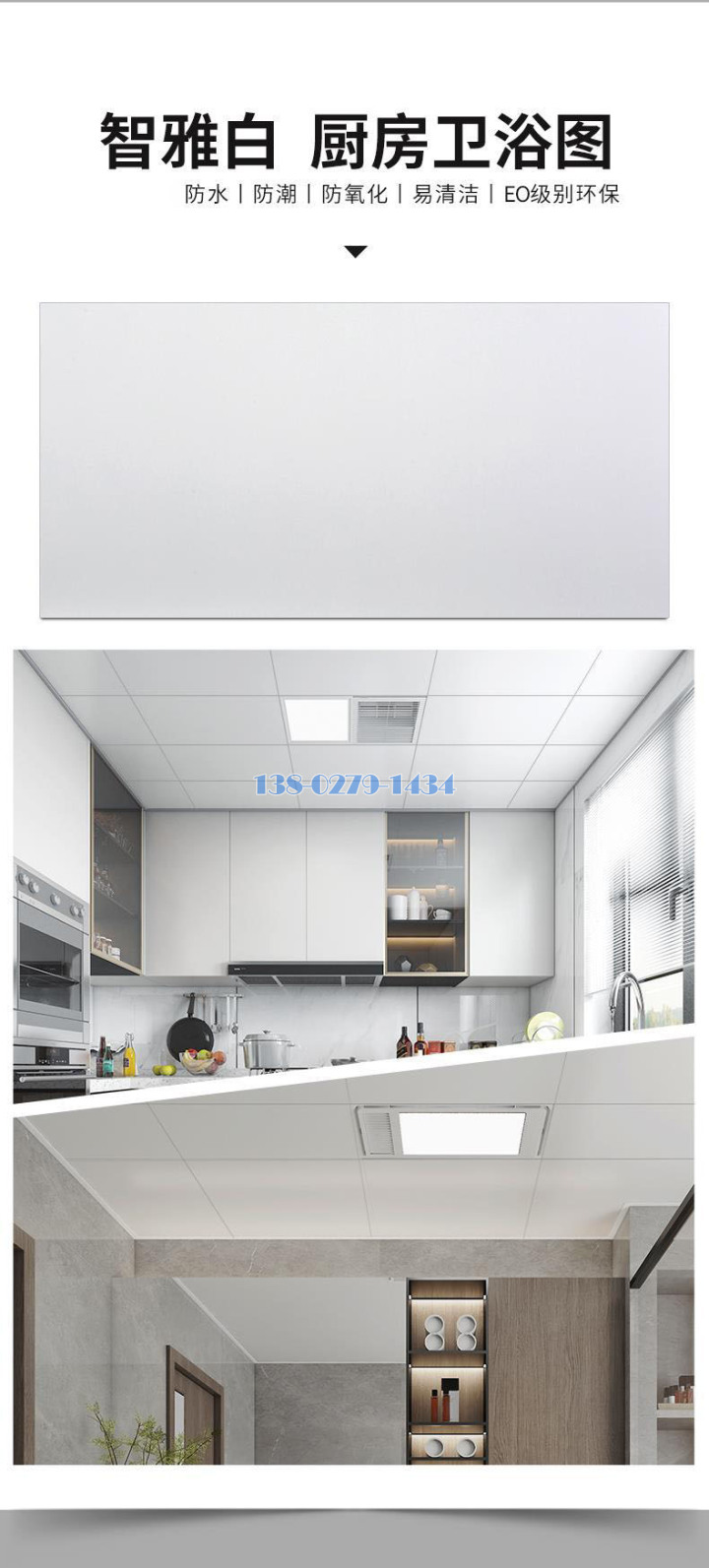 �����Q���ר�