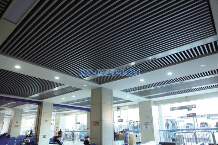 �T�����զ⫬���T��q