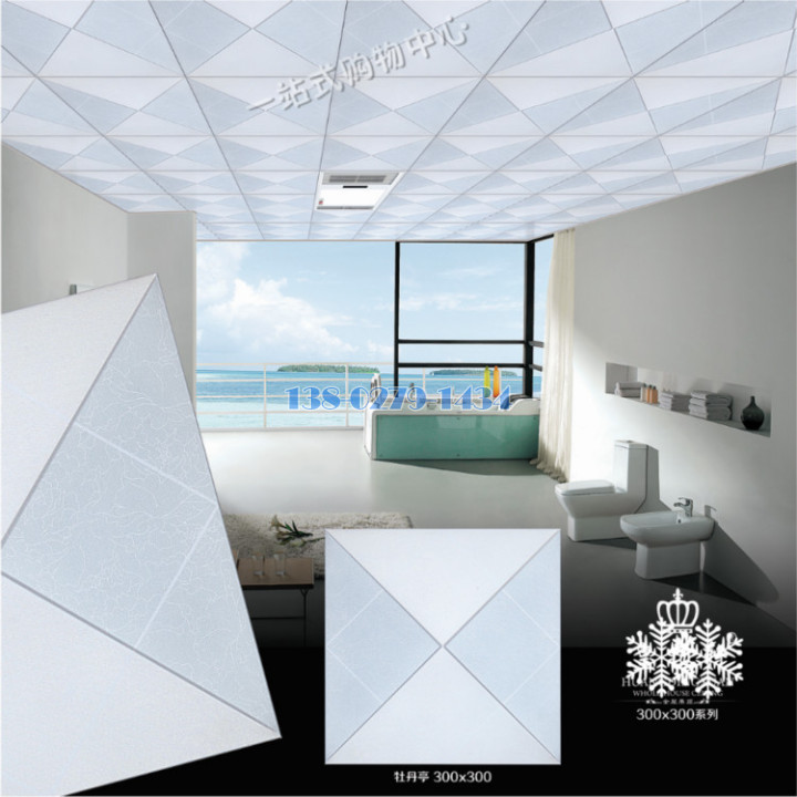 �a�˾T���O