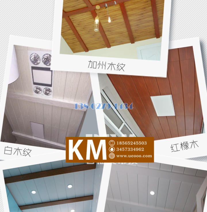 ¾T±ø¦© ¾T±ø¦©