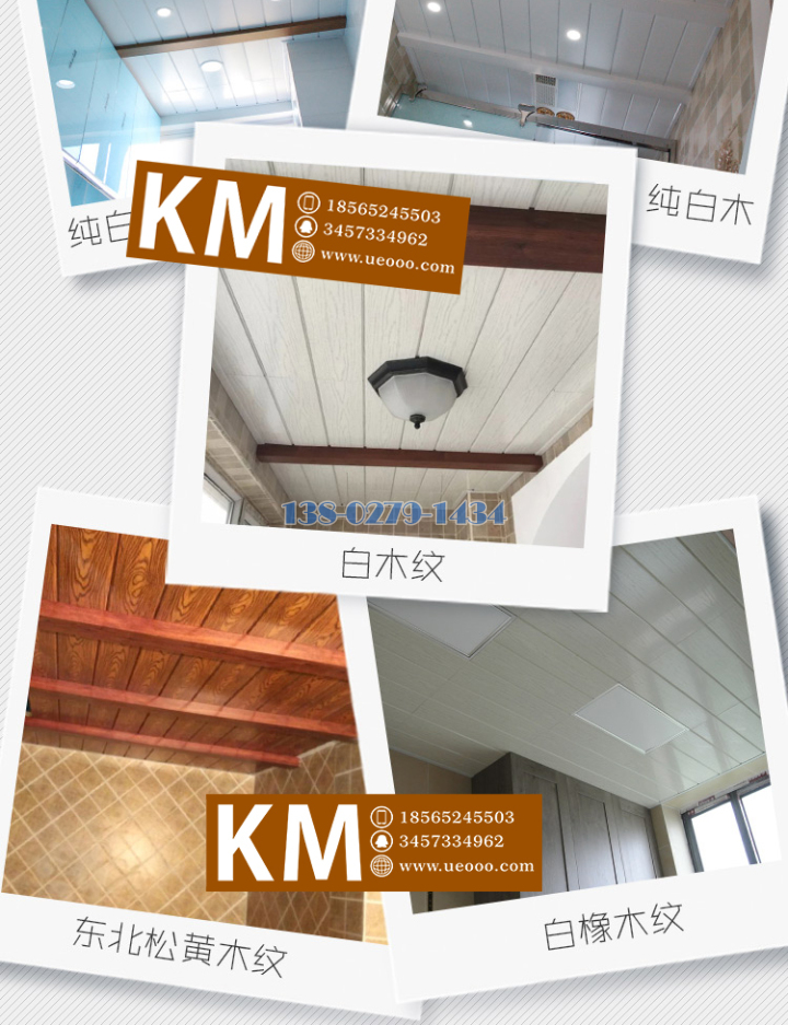 ¾T±ø¦© ¾T±ø¦©