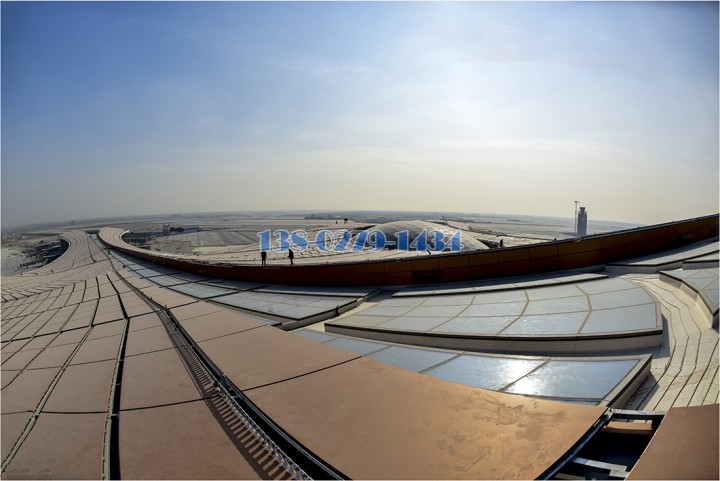 �j�����������T��O�ѭ���ı